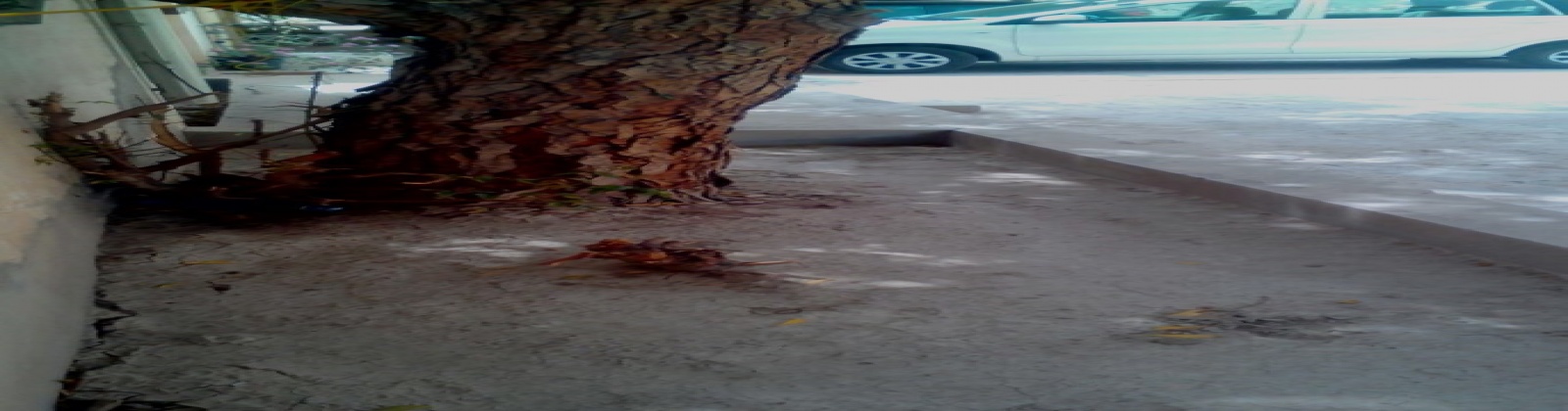 Muscat,3 Bedrooms Bedrooms,3 BathroomsBathrooms,Apartment,FAM-3,2,1015