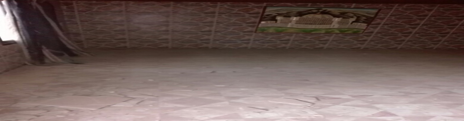 Muscat,stores,1500,1,1017